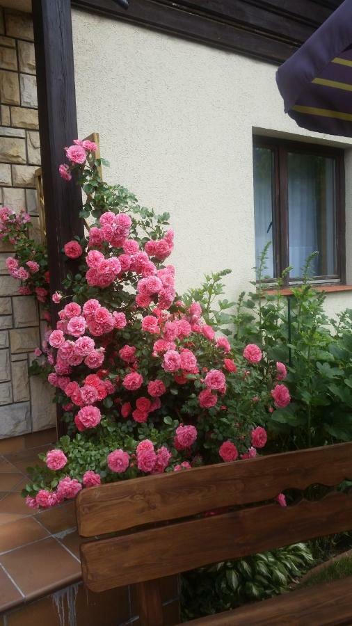 Apartament Jodłowy Szczyrk Zewnętrze zdjęcie